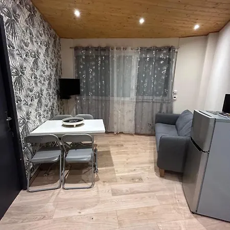 De Luxe En R/c Idealment Place En Hyper Centre Lourdes